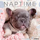 Naptime (Dogs & Puppies) 2025 12 X 12 Wall Calendar