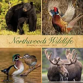 Northwoods Wildlife 2025 12 X 12 Wall Calendar