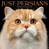 Just Persians 2025 12 X 12 Wall Calendar