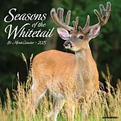 Seasons of the Whitetail 2025 12 X 12 Wall Calendar