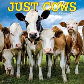 Just Cows 2025 12 X 12 Wall Calendar