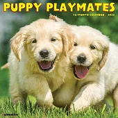 Puppy Playmates 2025 12 X 12 Wall Calendar