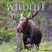 Rocky Mountain Wildlife 2025 12 X 12 Wall Calendar