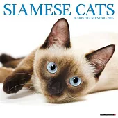 Siamese Cats 2025 12 X 12 Wall Calendar