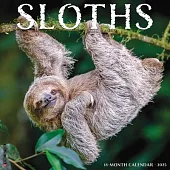 Sloths 2025 12 X 12 Wall Calendar