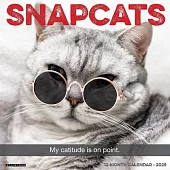 Snapcats 2025 12 X 12 Wall Calendar