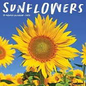 Sunflowers 2025 12 X 12 Wall Calendar