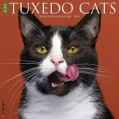 Just Tuxedo Cats 2025 12 X 12 Wall Calendar
