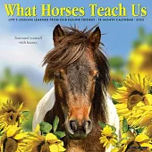 What Horses Teach Us 2025 12 X 12 Wall Calendar