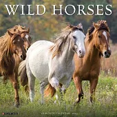 Wild Horses 2025 12 X 12 Wall Calendar