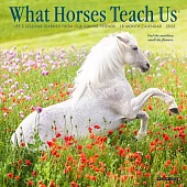 What Horses Teach Us 2025 7 X 7 Mini Wall Calendar