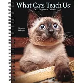What Cats Teach Us 2025 6.5 X 8.5 Engagement Calendar