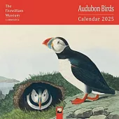 Fitzwilliam Museum: Audubon Birds Wall Calendar 2025 (Art Calendar)