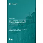 Experimentation in 5G and beyond Networks: State of the Art and the Way Forward