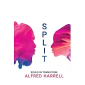 Split: Souls in Transition