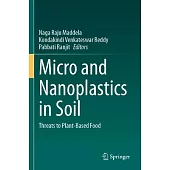 Micro and Nanoplastics in Soil: Threats to Plant-Based Food