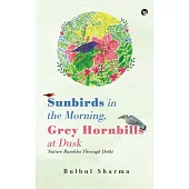Sunbirds in the Morning, Grey Hornbills at Dusk Nature Rambles Through Delhi