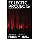 Eclectic Projects 006