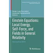Einstein Equations: Local Energy, Self-Force, and Fields in General Relativity: Domoschool 2019