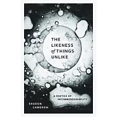 The Likeness of Things Unlike: A Poetics of Incommensurability
