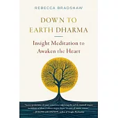Down to Earth Dharma: Insight Meditation to Awaken the Heart