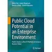 Public Cloud Potential in an Enterprise Environment: Public Cloud as a New It Platform to Increase Business Value