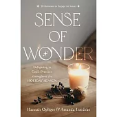Sense of Wonder: Delighting in God’s Presence Throughout the Holiday Season