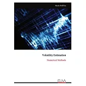 Volatility Estimation: Numerical Methods