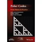 Polar Codes: From Theory to Practice