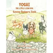 Yoshi: Saving Badgers’ Field