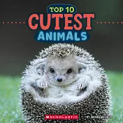 Top 10 Cutest Animals (Wild World)
