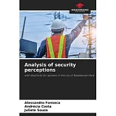 Analysis of security perceptions