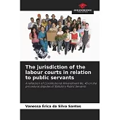 The jurisdiction of the labour courts in relation to public servants