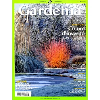 Gardenia 1月號/2020