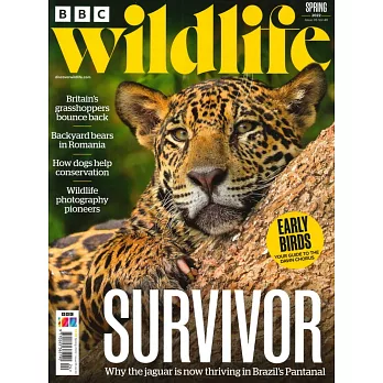 BBC Wildlife 春季號/2022
