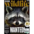 BBC Wildlife 2月號/2024