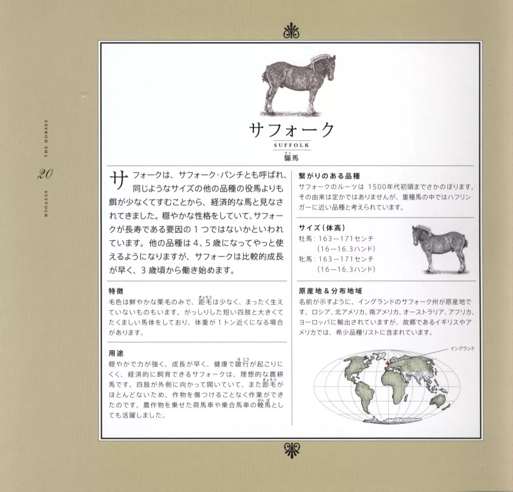 博客來 世界美麗馬匹品種鑑賞圖鑑 博客來 世界美麗馬匹品種鑑賞圖鑑