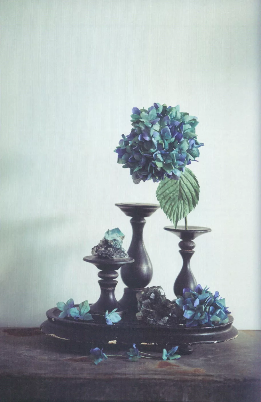 博客來 美麗布製花卉植物標本手藝作品款 博客來 美麗布製花卉植物標本手藝作品款