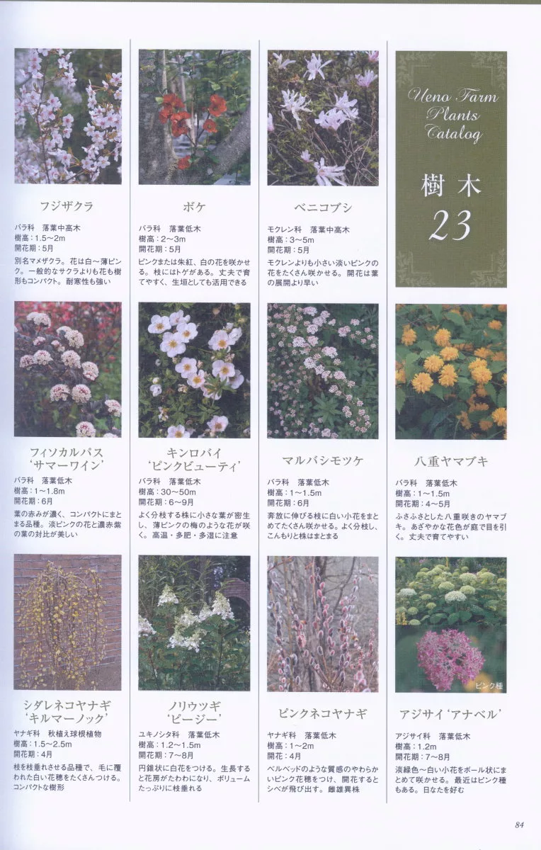 博客來 上野砂由紀美麗庭園佈置實例集 博客來 上野砂由紀美麗庭園佈置實例集