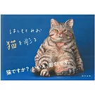 hashimotomio雕刻家可愛貓咪作品手冊