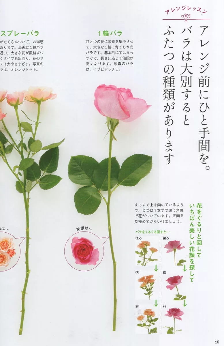 博客來 花時間petit花藝設計實例集vol 1 玫瑰特集 博客來 花時間petit花藝設計實例集vol 1 玫瑰特集