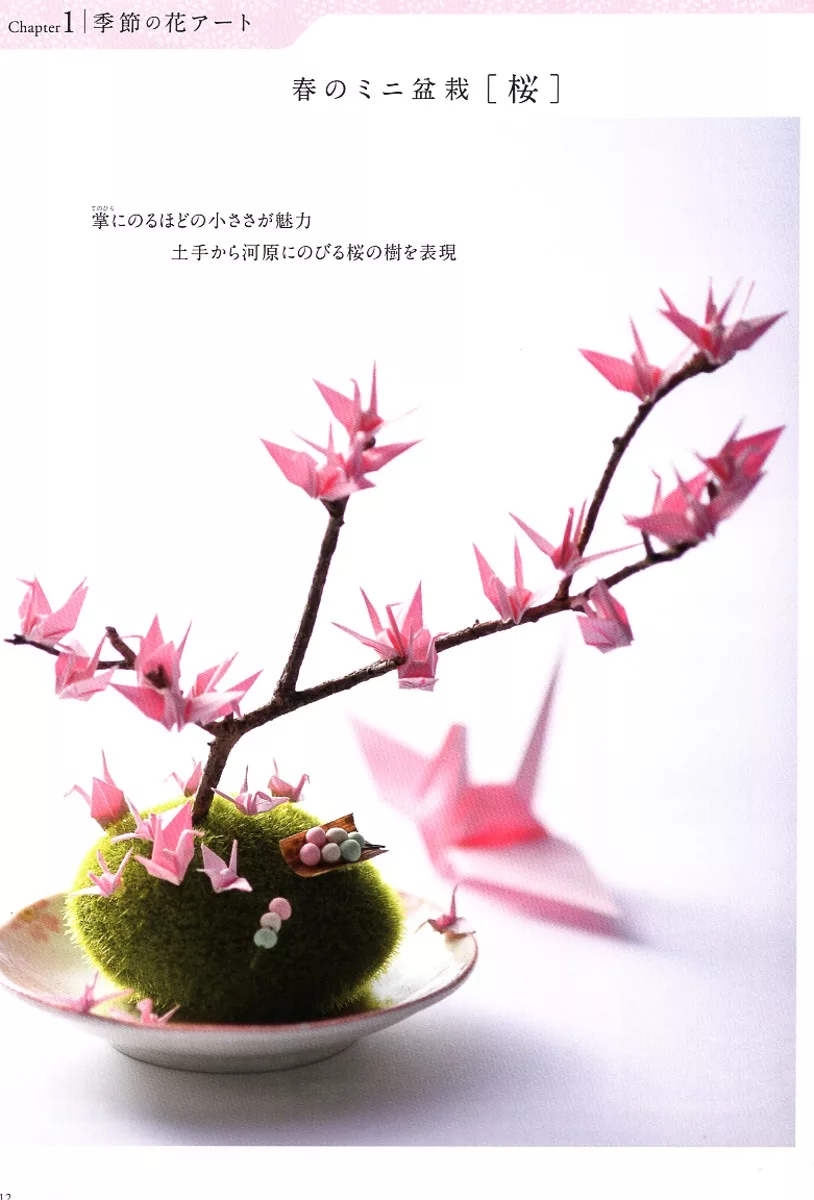 春季的櫻花樹