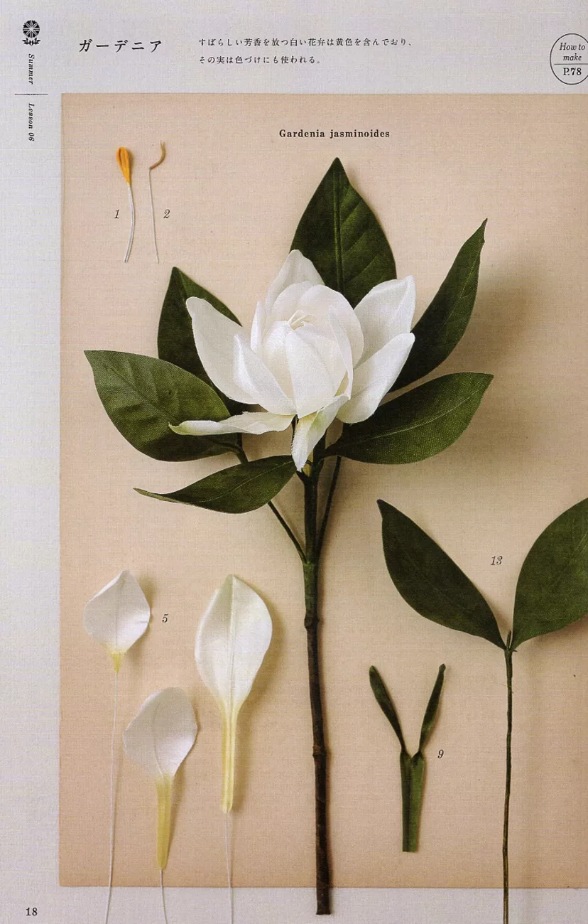 博客來 Utopiano美麗布製季節花卉標本手藝作品集 博客來 Utopiano美麗布製季節花卉標本手藝作品集