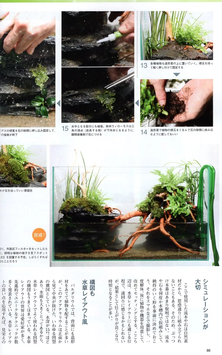 博客來 水草造景與水族箱完全解析專集 博客來 水草造景與水族箱完全解析專集