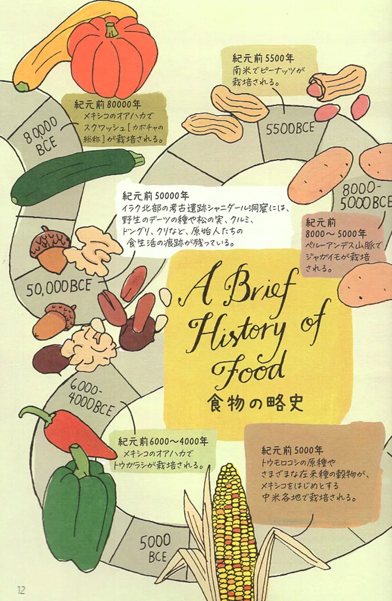 食材的歷史沿革