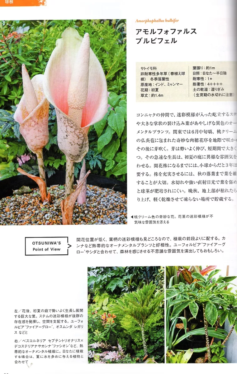 博客來 美麗庭園綠意植物完全圖鑑專集 博客來 美麗庭園綠意植物完全圖鑑專集