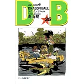 DRAGON BALL 25