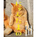 貓咪蛋蛋寫真手冊:にゃんたまω