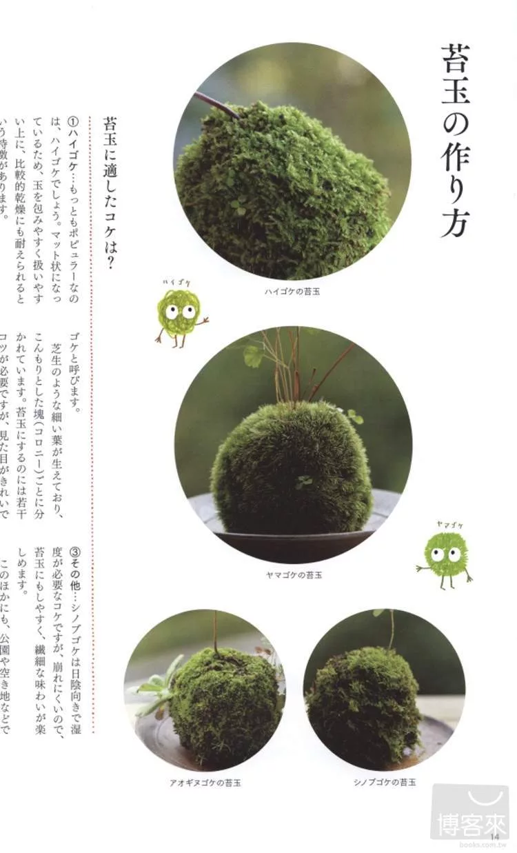 博客來 苔蘚盆栽趣味栽培完全圖解讀本 博客來 苔蘚盆栽趣味栽培完全圖解讀本