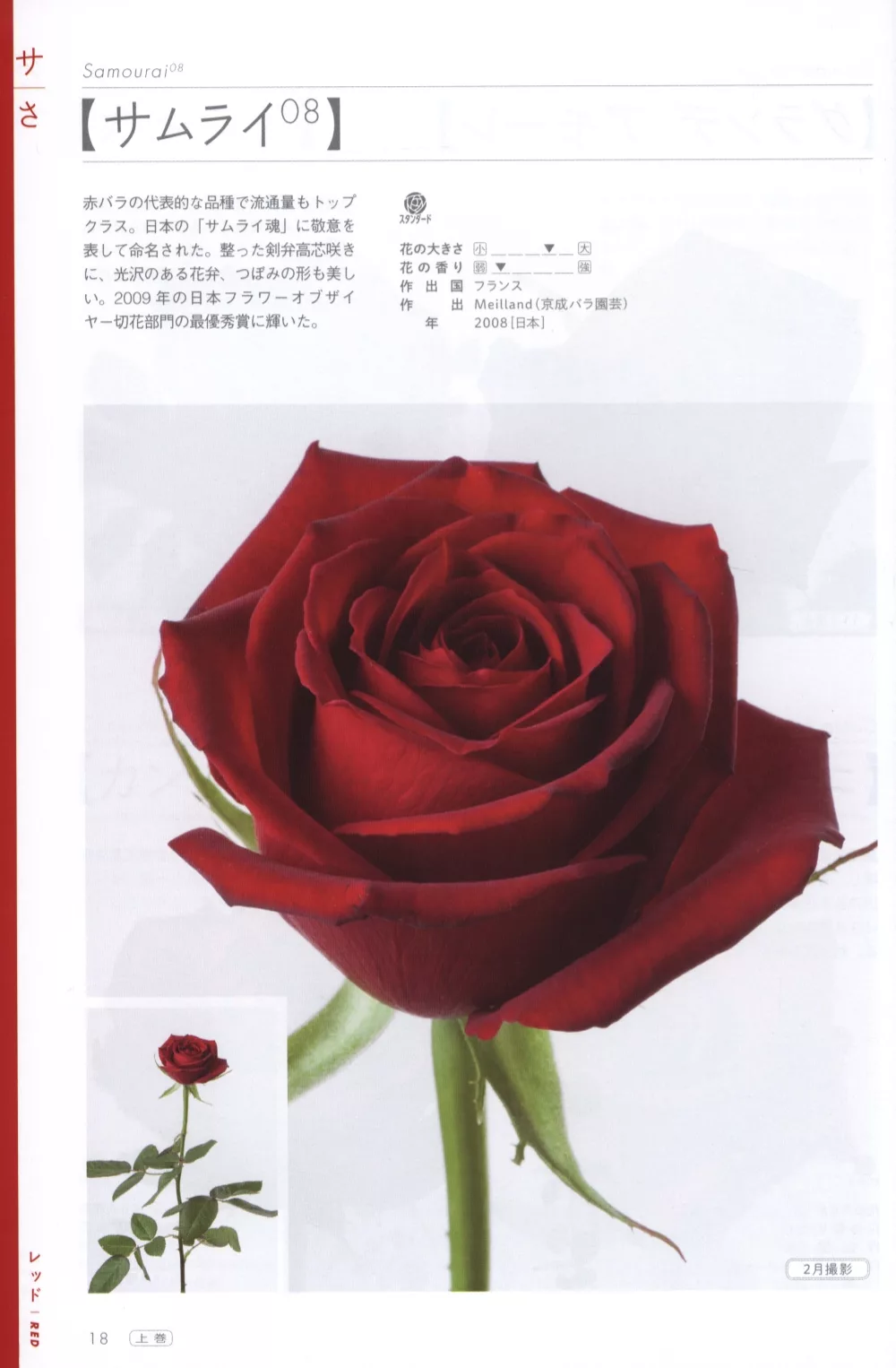 博客來 玫瑰薔薇圖鑑1000 上卷 526品種 博客來 玫瑰薔薇圖鑑1000 上卷 526品種